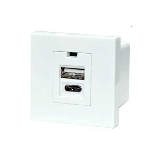 Dual Port TypeA + C Modula Socket Charger Usb