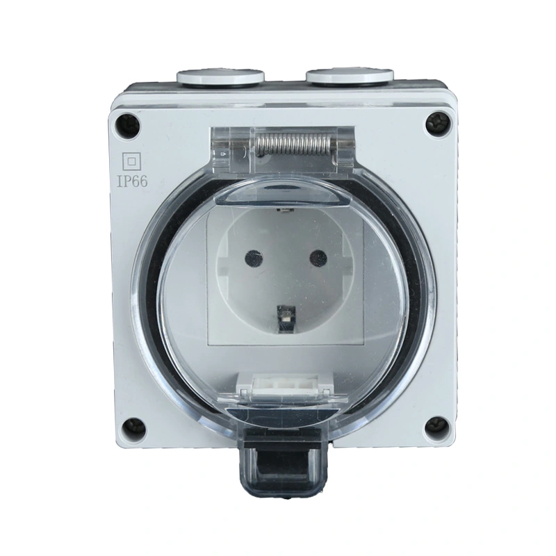 IP66 Series Serface Mounted Waterproof Tîpa Almanî û Switch