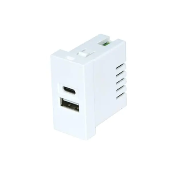 Twin Port TypeA + C Modula Socket Charger Usb